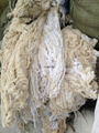 Cotton yarn  4