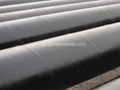 API 5L X56 heavy calibre steel pipe 1