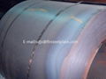 ASTM A516 pressure and boiler steel plate coil sheet/iron plate 5