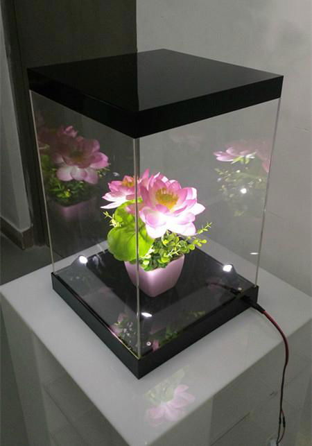 Acrylic Figure Display Box with LED Lights