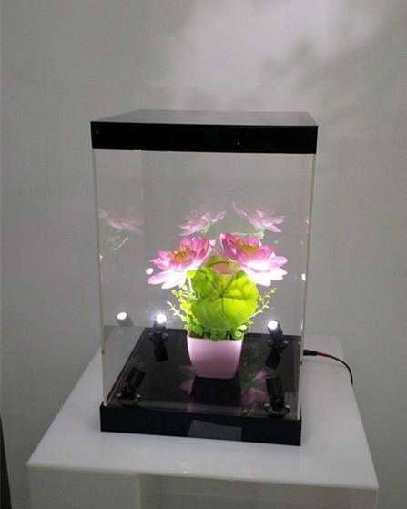 Acrylic Figure Display Box with LED Lights 2