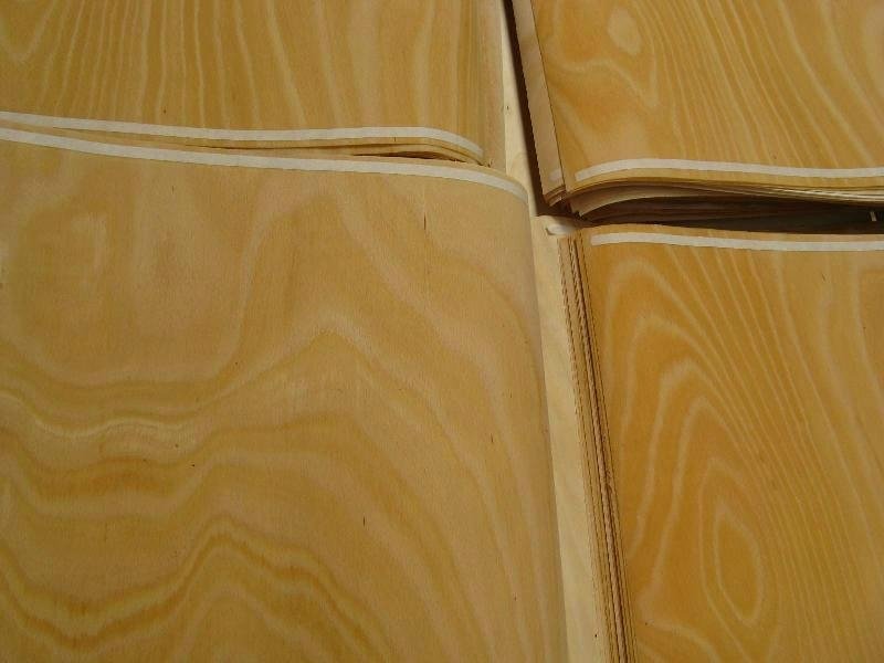 木质材料层压式木板材类酚醛板 4