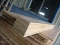 木質材料層壓式木板材類酚醛板