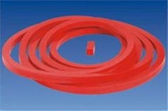 Auto Clave Gasket