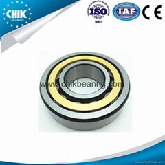 High capacity cylindrical roller bearing