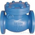 Swing check valve / no return valve