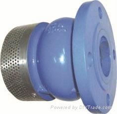 Foot valve bottom valve water no turn valve