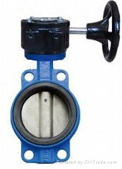 Wafer type butterfly valve