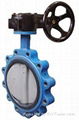 Lug type butterfly valve