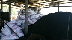 coconut shell charcoal