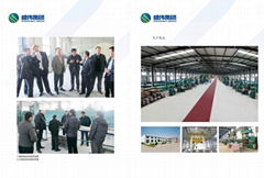 Hebei Shengwei Jiye Frp Group Co., Ltd.