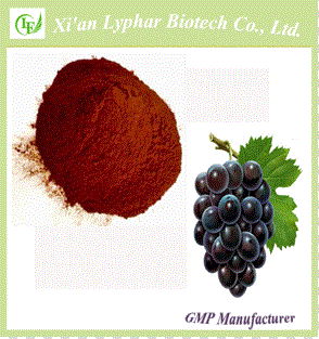  GMP Manufacturer Natural 95% Grade Seed Extract