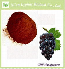  GMP Manufacturer Natural 95% Grade Seed Extract