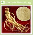 ISO&GMP Top Quality Ginseng Root Extract