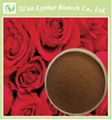 Lyphar GMP Manufacturer 100% Natural Rose Extract 1