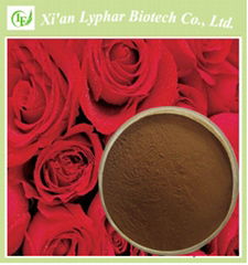Lyphar GMP Manufacturer 100% Natural Rose Extract