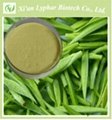 Lyphar Supply Green Tea Polyphenols