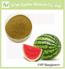 100% Natural Watermelon Rind Extract Powder