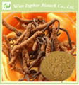 GMP Manufacturer Supply High Quality Cordyceps Extract