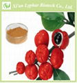 100% Natural Guarana Extract Powder