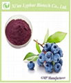 Lyphar Supply Natural Blueberry Extract