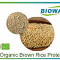 Organic Brown Rice Protein 1