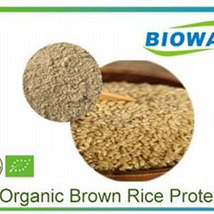 Organic Brown Rice Protein