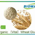 Organic Wheat Gluten