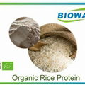 Organic Rice Protein 1