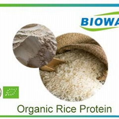 Organic Rice Protein