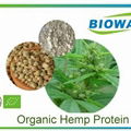 Organic Hemp Protein 1