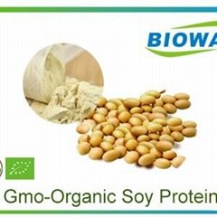 Organic Soy Protein