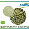 Organic Pumpkin Seed Protein 1