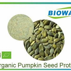 Organic Pumpkin Seed Protein