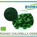 Organic Chlorella Powder 1