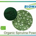 Organic Spirulina Powder 1