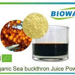 Organic Sea Buckthorn Juice Powder