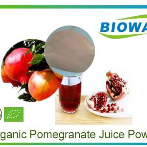 Organic Pomegranate Juice Powder