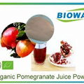 Organic Pomegranate Juice Powder