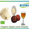 Organic Apple Juice Powder 1