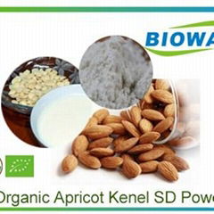 Organic Apricot Kenel Powder