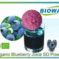 Organic Blueberry Juice Powder 1