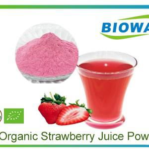 Organic Strawberry Juice Powder 1