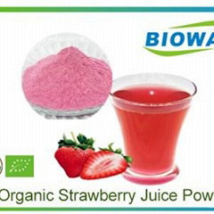 Organic Strawberry Juice Powder