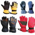 Ski Gloves