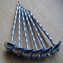 Twisted Roofing Nails