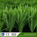 Fruit Green Football Grass