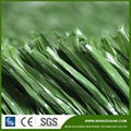 Green Football Grass