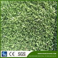 Non-filling Football Grass