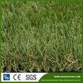 35mm 17stitches Garden Grass